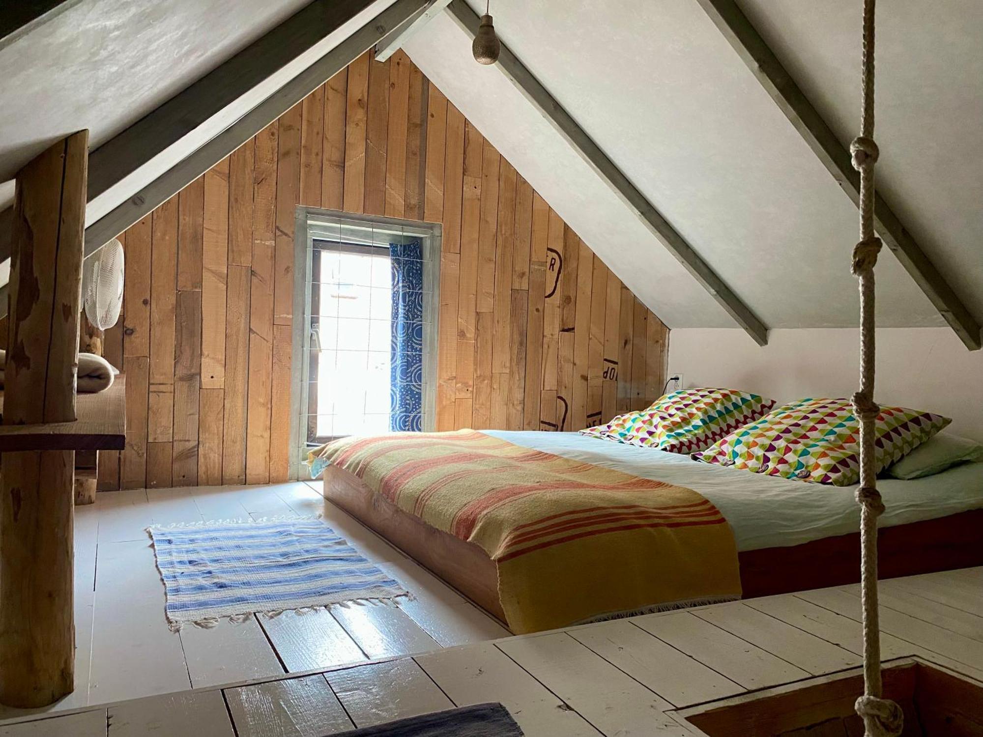 In De Aap - Appartementen & Guesthouse Bergen Dış mekan fotoğraf
